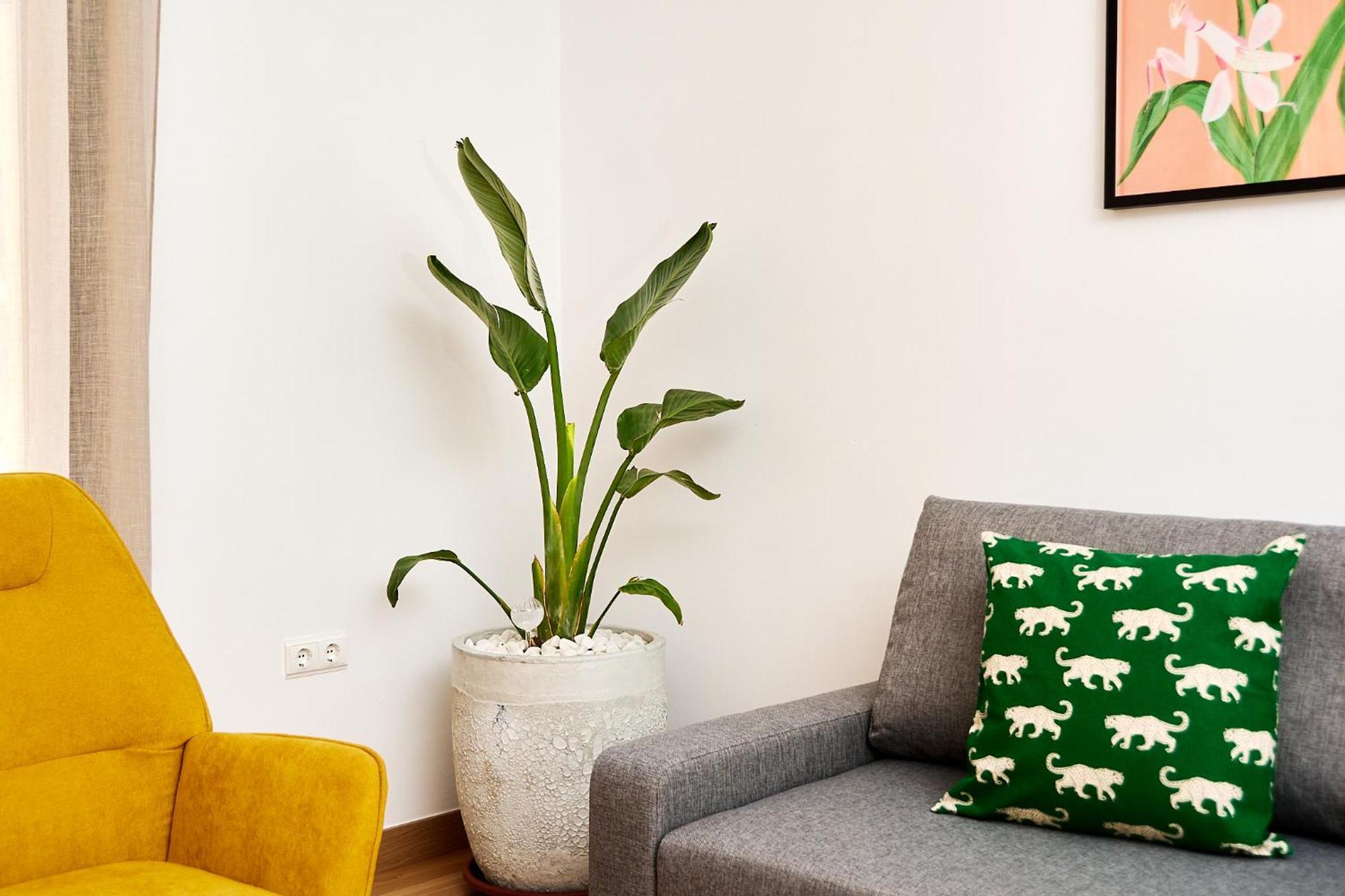 Apartamento Que Bueno Que Viniste Caces Exterior foto